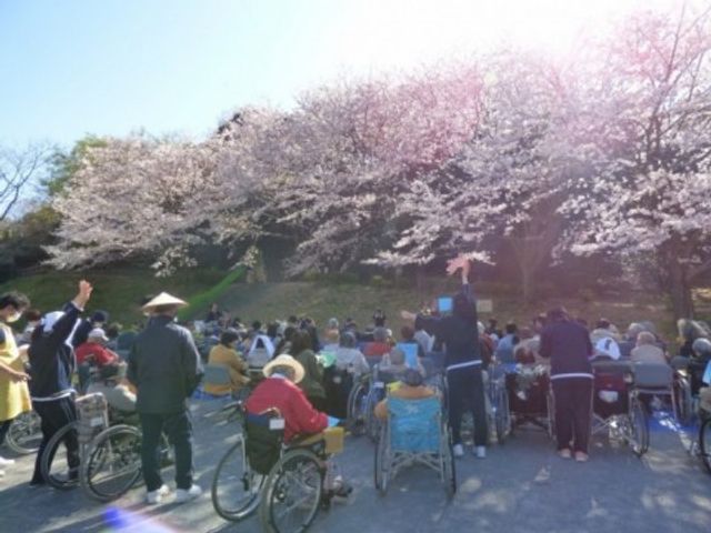 桜の下での集まり