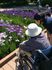 花畑を楽しむ中庭