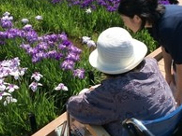 花畑を楽しむ中庭 中庭 広い花畑が広がる中庭で、車椅子の方も安心して自然を楽しめます。リラックスできる環境です。