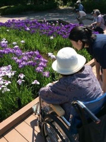 花畑を楽しむ中庭 中庭 広い花畑が広がる中庭で、車椅子の方も安心して自然を楽しめます。リラックスできる環境です。