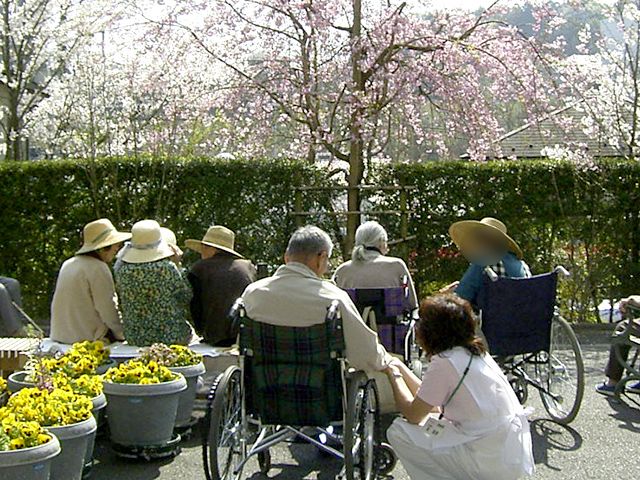 賑わう中庭 中庭 春の花々に囲まれた場所で、利用者がリラックスしています。介護スタッフもそばで見守っています。