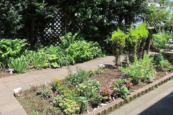 共用スペースの日差し