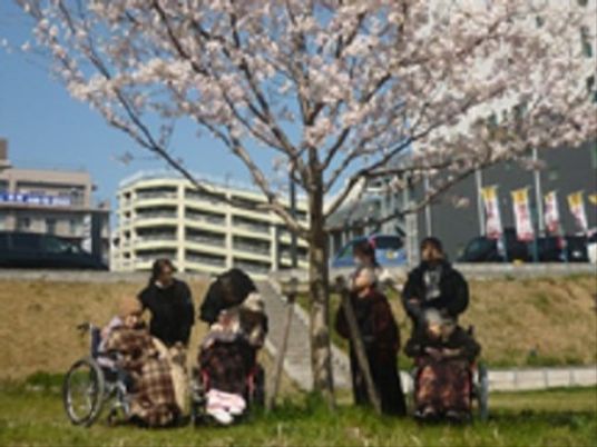 桜下の和やかなひととき