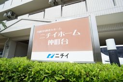 看板前の緑の植物