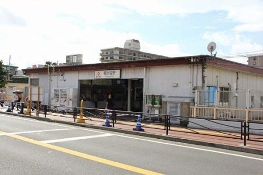 広々とした明るいエントランス