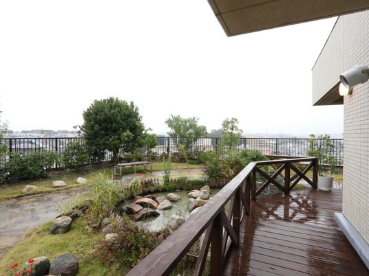 雨上がりのテラスと庭