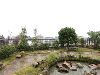 緑豊かな中庭風景
