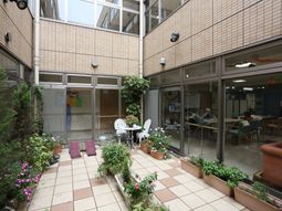 中庭にある植物とイス