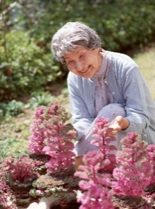 ピンク色の花が咲いており、女性の入居者様が座りながら笑顔で花に手を添えている。緑色の葉っぱも生えている。