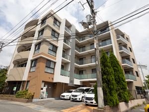 多階層の外観