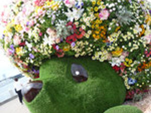 カラフルな動物の彫刻 庭 多彩な花で彩られた彫刻は、訪れる人を楽しませる場所です。リラックスできる雰囲気も魅力です。