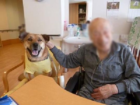 ペットと利用者の居室