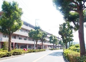 ゆとりのある外観