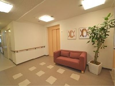 廊下にソファと植物