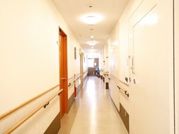 明るい廊下の様子