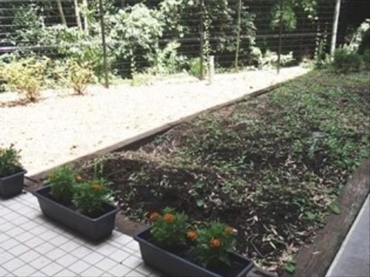 緑豊かな施設の中庭