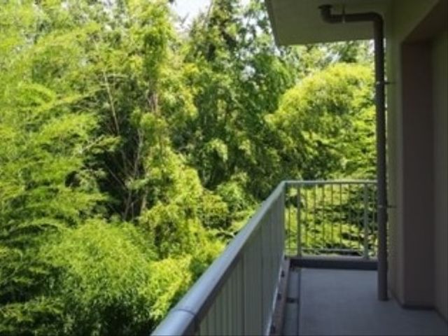 緑豊かなバルコニー景色 緑地 清々しい緑に囲まれた当施設のバルコニーです。くつろぎの時間を自然とともにお過ごしいただけます。