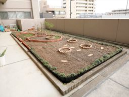 手入れされた中庭