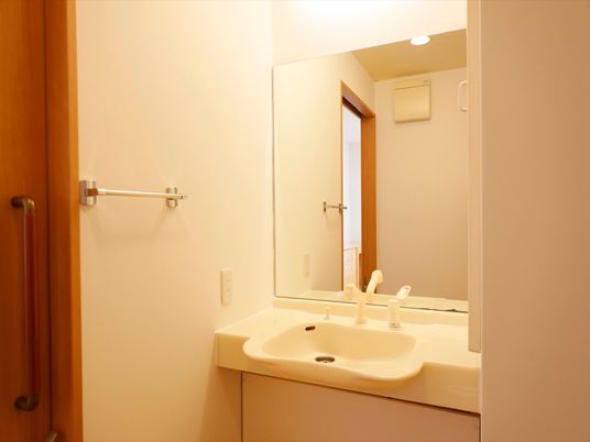 白で統一されており、すっきりしたデザインである。大きな鏡がついている。タオル掛けが左手に備えつけられている。