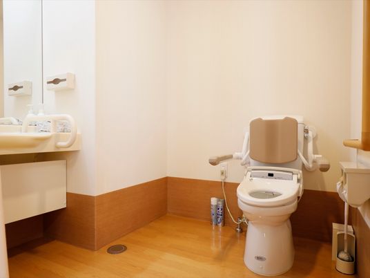 トイレは広いスペースに設置されている。背もたれやひじ掛けがついており、便座脇には大きな手すりがついている。