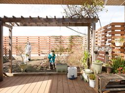 中庭のガーデニング風景