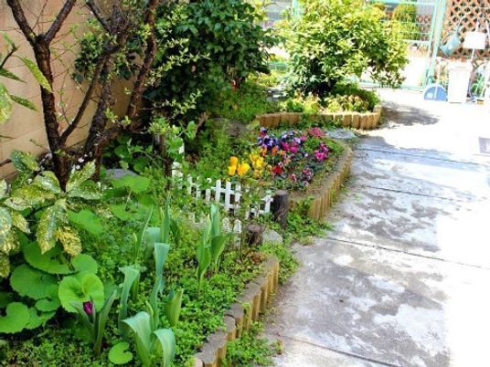 緑豊かな中庭の風景