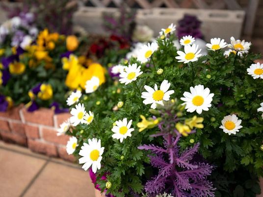 カラフルな花と緑の中庭