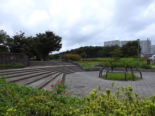 緑豊かな中庭風景