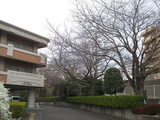木々に囲まれた施設外観  