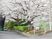 桜が咲く施設の外観  