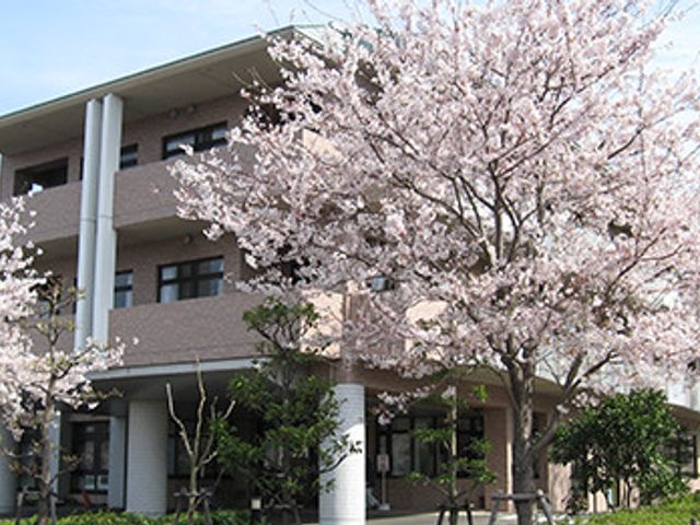 桜に囲まれた建物外観 外観 桜が満開の美しい季節に囲まれた心地よい建物です。春の訪れを感じられる場所です。