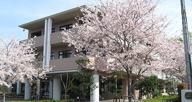 桜に囲まれた建物外観