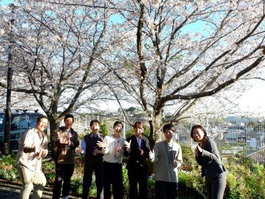 桜の下で集合する職員たち庭  