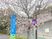 桜と施設案内看板の外観  