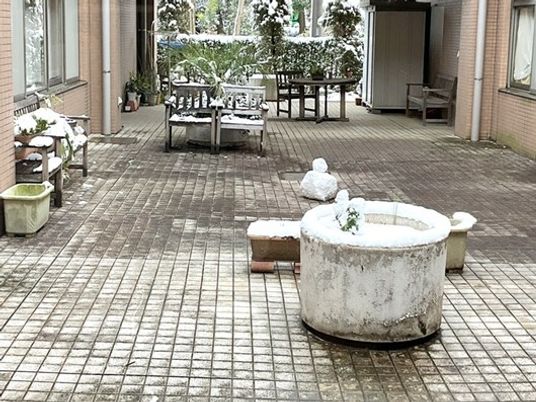 雪の中庭  