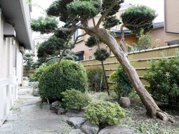 手入れされた庭の風景
