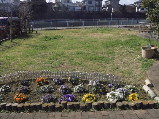 色鮮やかな花壇の庭