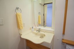 洗面台と鏡のある部屋