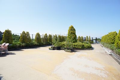 庭園とベンチのある風景