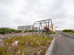 中庭の花と景色