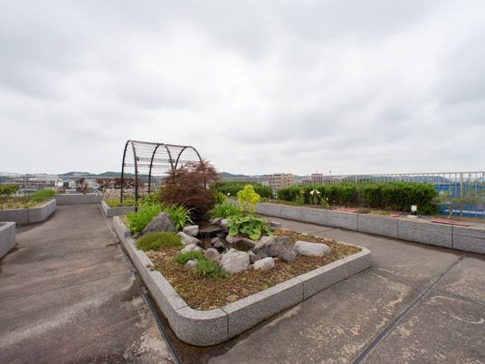 広々とした屋上庭園