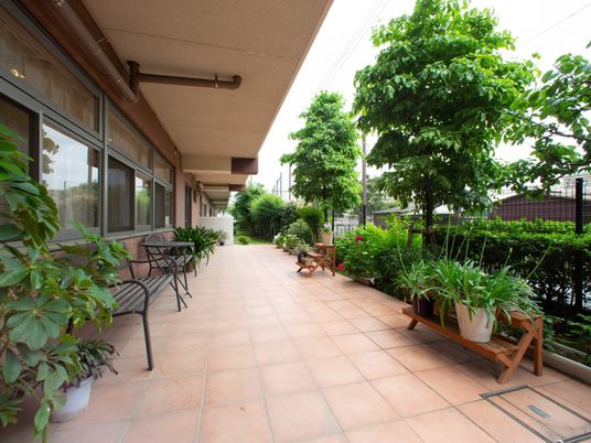 緑豊かな共有テラス