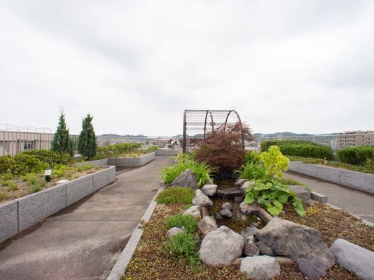 清々しい院内庭園風景