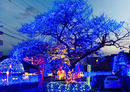 青色の光で輝く夜の庭
