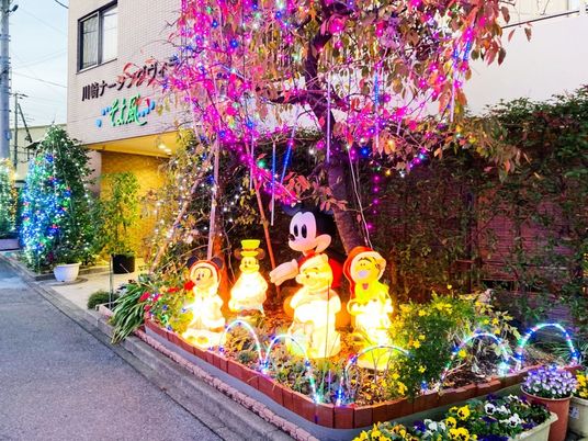 イルミネーションの外観