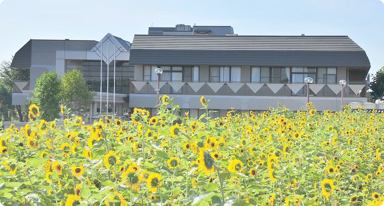 たくさんの花に囲まれた建物の外観
