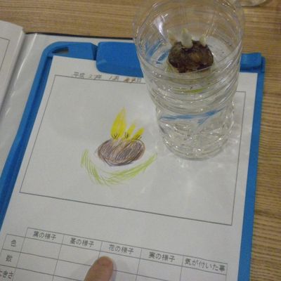 自然学習の一場面