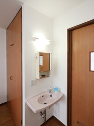 洗面台と照明の様子