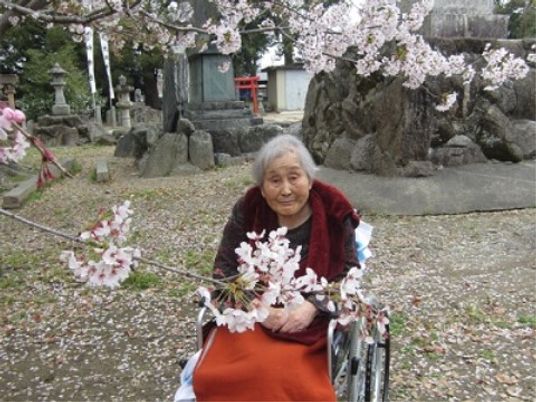 桜と共に微笑む高齢者