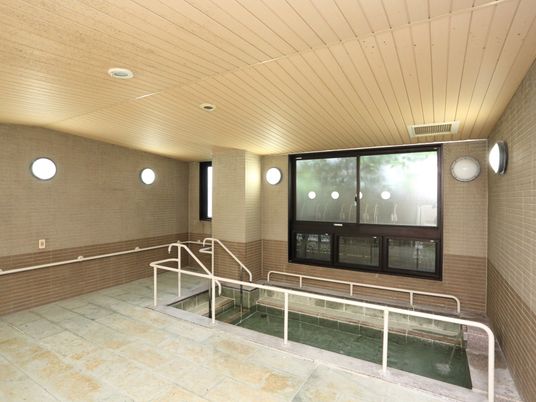 浴室には掘り込み式の浴槽がある。浴槽へのステップや周囲、浴室壁面に手すりが設置されている。木目を思わせる天井である。